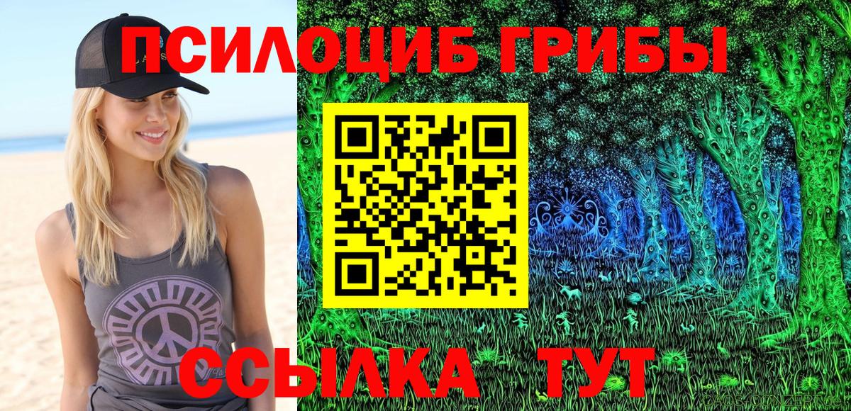 Славянск-на-Кубани  Галлюциногенные грибы Cubensis  Псилоцибиновые грибы Magic Shrooms  где купить наркотик  Вход с VPN 